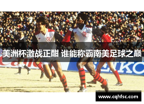 美洲杯激战正酣 谁能称霸南美足球之巅